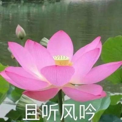 台湾民众集会痛批民进党当局欺骗民意